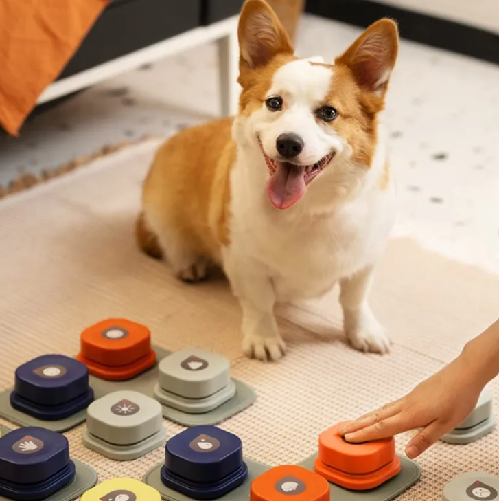 Pet Communication Button | Teach Your Pet to Talk