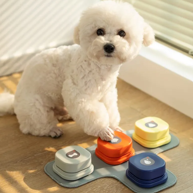 Pet Communication Button | Teach Your Pet to Talk