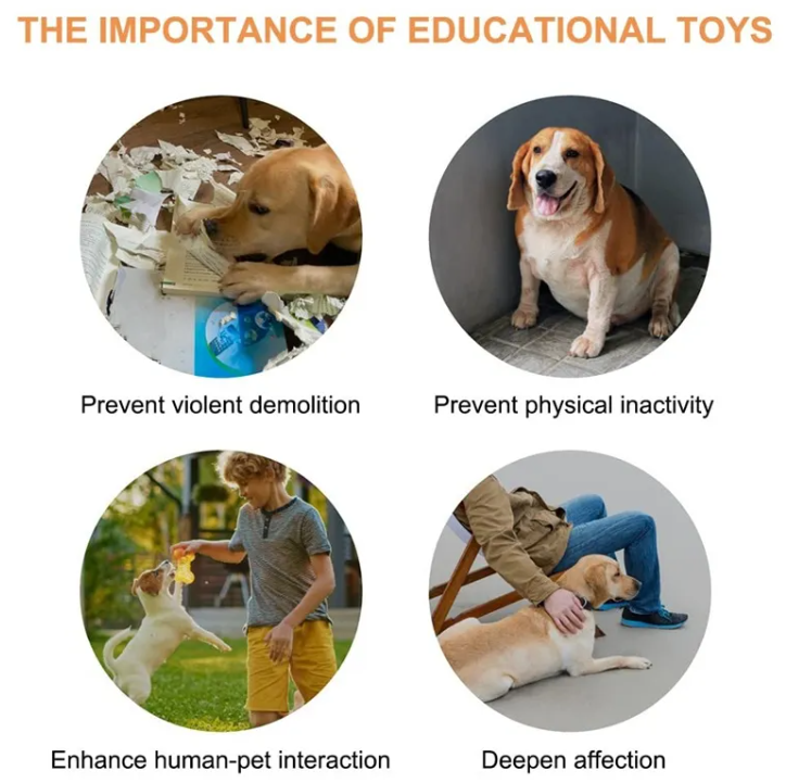 Pet Communication Button | Teach Your Pet to Talk
