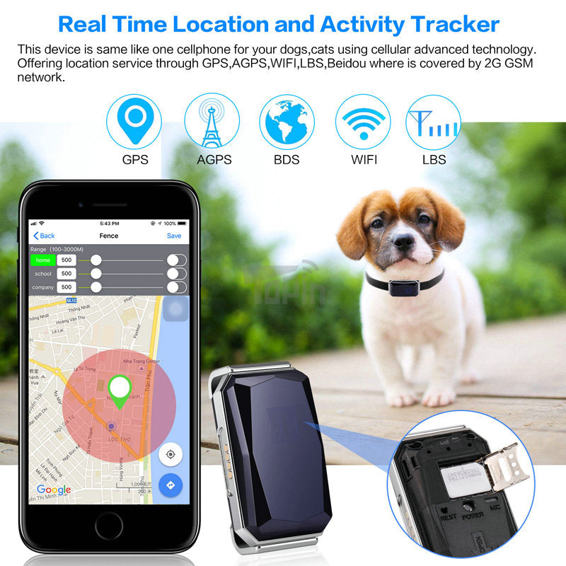 GPS Pet Tracker Collar | Real-Time Location Tracking for Dogs & Cats