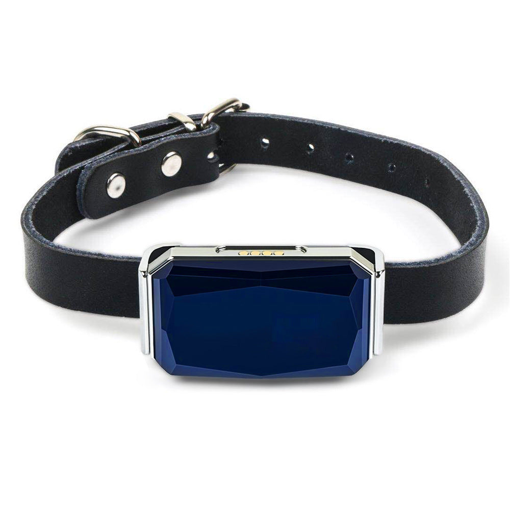 GPS Pet Tracker Collar | Real-Time Location Tracking for Dogs & Cats